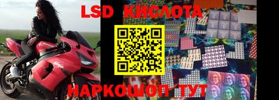 винт Новодвинск