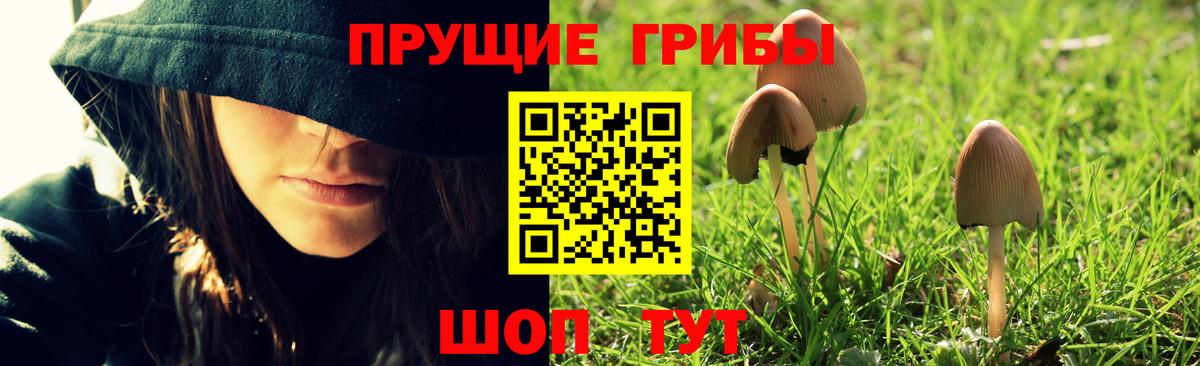 Туймазы  Псилоцибиновые грибы ЛСД  хочу наркоту  Вход с VPN 